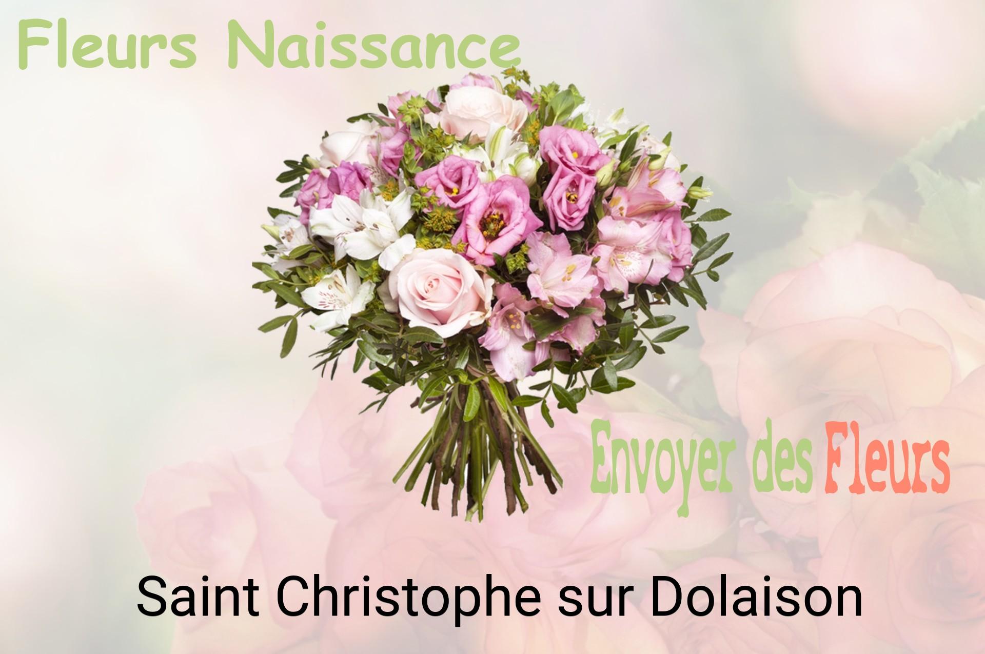 Bouquet de fleurs de naissance livré à Saint-Christophe-sur-Dolaison